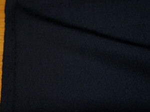 【Fss301】
