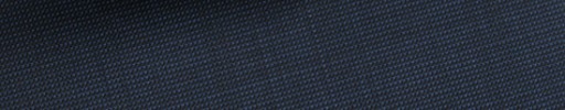 【4mar_08】ネイビー・ピンチェック