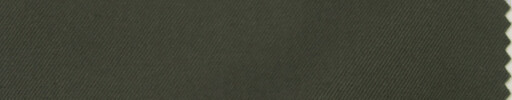 【5sp_s22】オリーブ