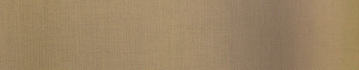 【Tc_12】ベージュ