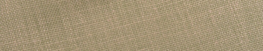 【5s_sea17】オレンジベージュ