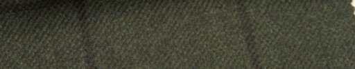 【5w_vb350】グリーン+7×5.5cmダークブラウンペーン